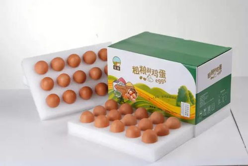 福建泉港優(yōu)質(zhì)農(nóng)副產(chǎn)品熱銷(xiāo)中，歡迎選購(gòu)
