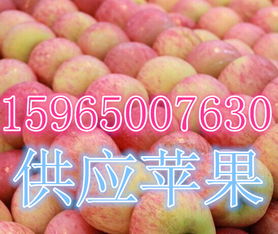 莒縣傲翔農(nóng)副產(chǎn)品購(gòu)銷處 探索海量高清圖片庫(kù)，展現(xiàn)農(nóng)副產(chǎn)品的天然魅力