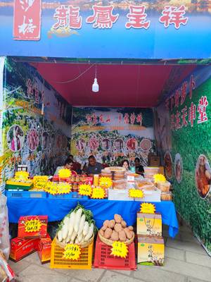 地道“沙橋味道”飄香展銷(xiāo)會(huì) 農(nóng)特產(chǎn)品推介助力鄉(xiāng)村振興